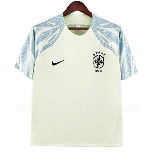 camiseta de entrenamiento brasil verde claro bx5 2022